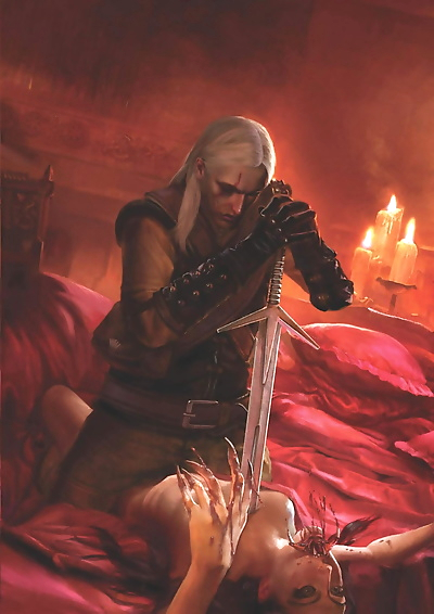The Witcher 1 Romance Cards..